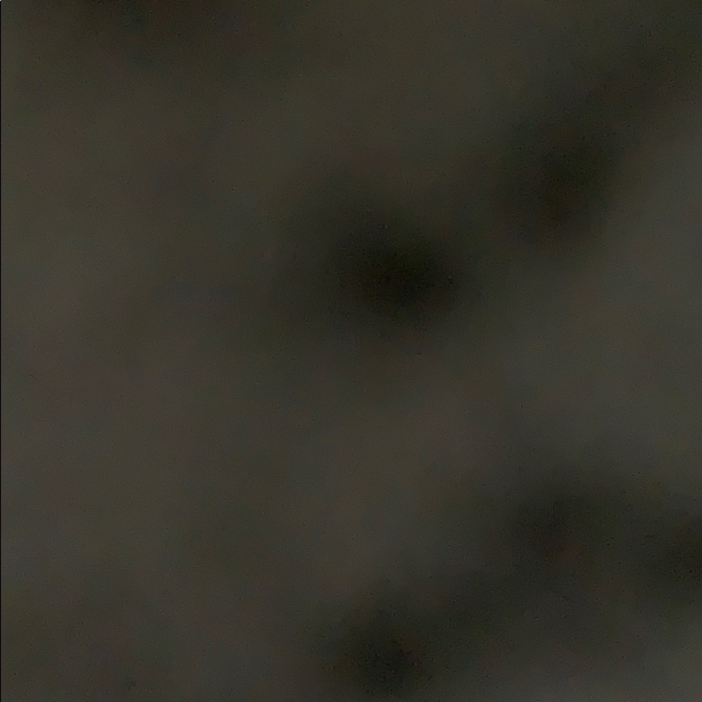 Meet your Posher, Jasmin